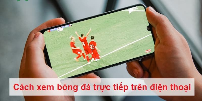 Những lưu ý khi xem bóng đá