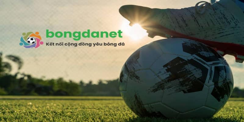 Vai trò quan trọng của bongdanet trong cộng đồng người hâm mộ